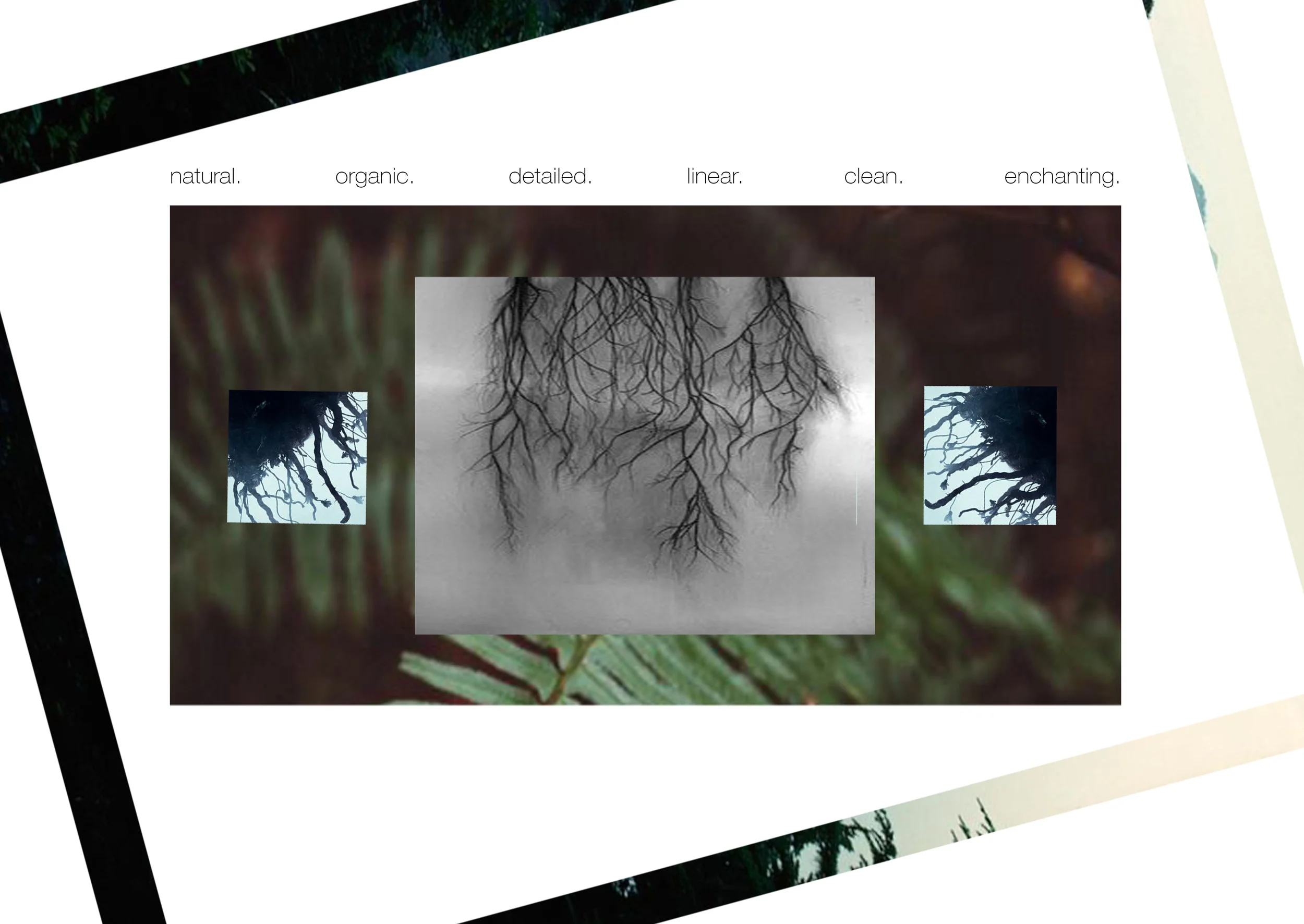 Studio2ExploratoryBoard1.jpg