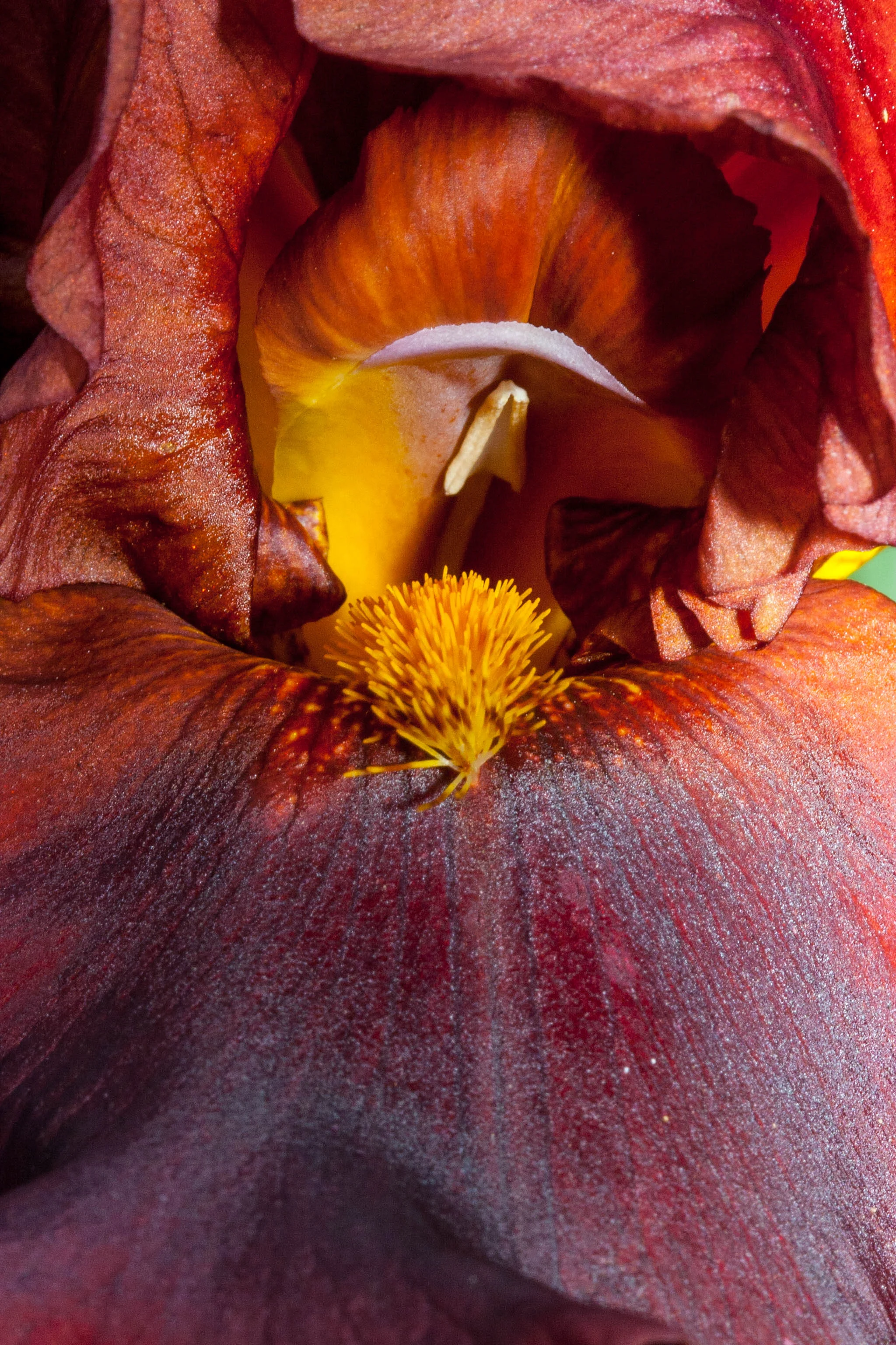 CRW_6265-1.jpg
