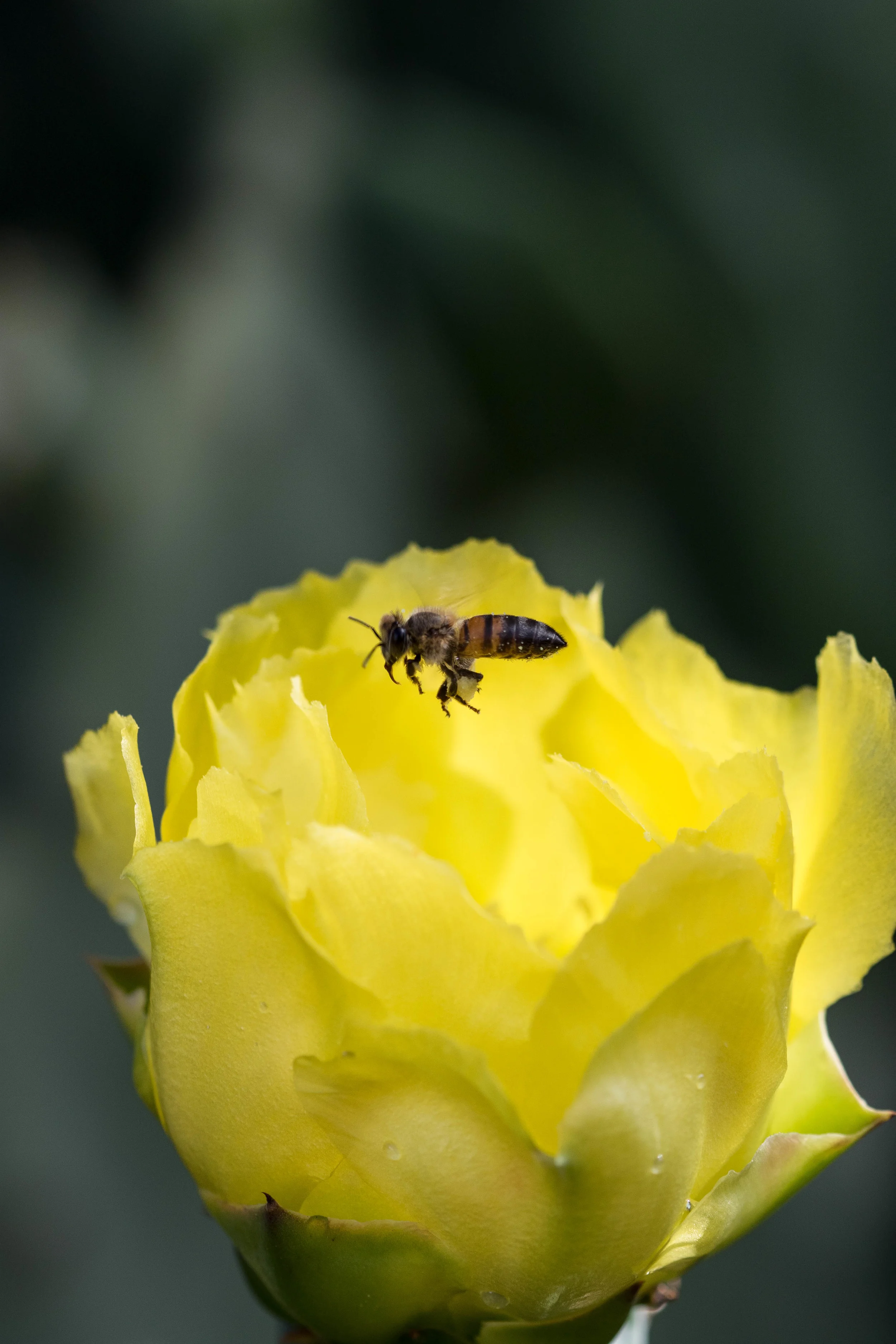 LX0A8395.jpg