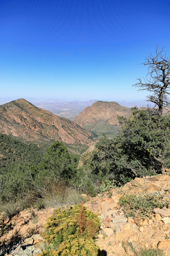 AV9A3306.jpg