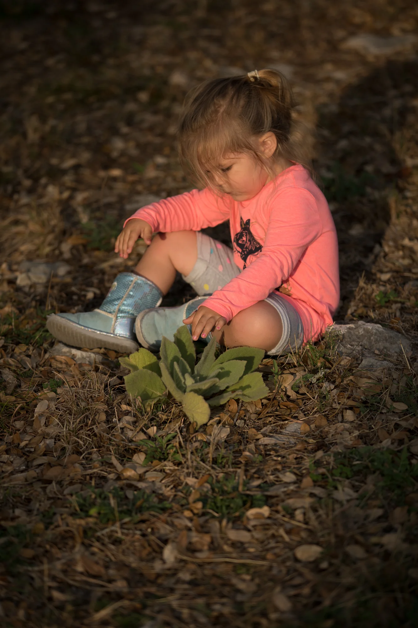 Hazel20170212_136.jpg