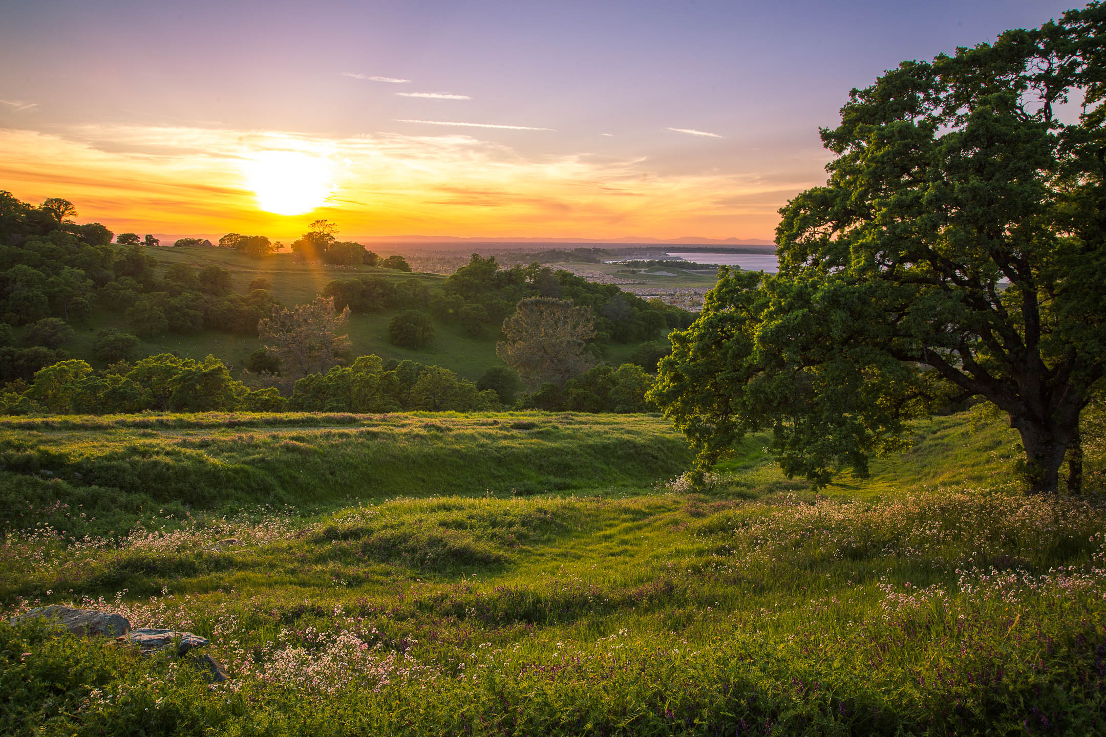 El Dorado Hills Sunset.jpg