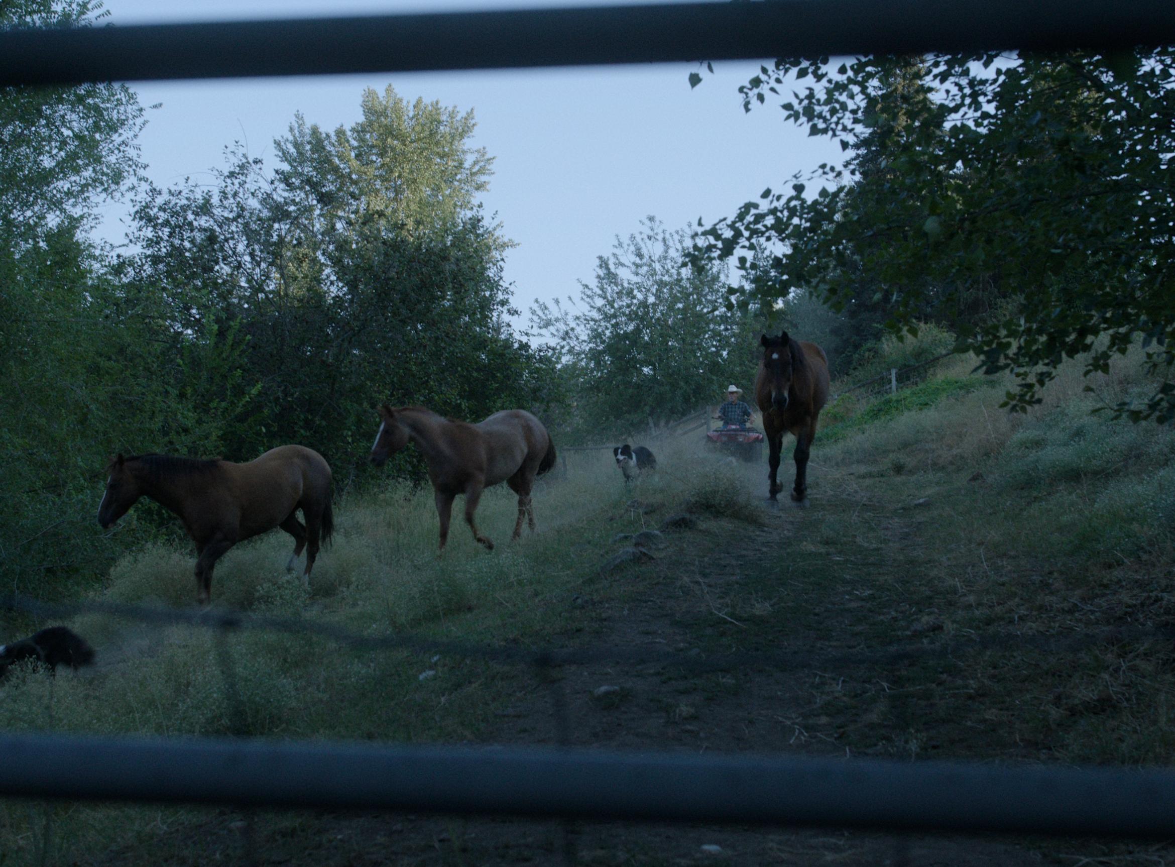 Screenshot 2025-11-18 at 2.52.51 PM.png