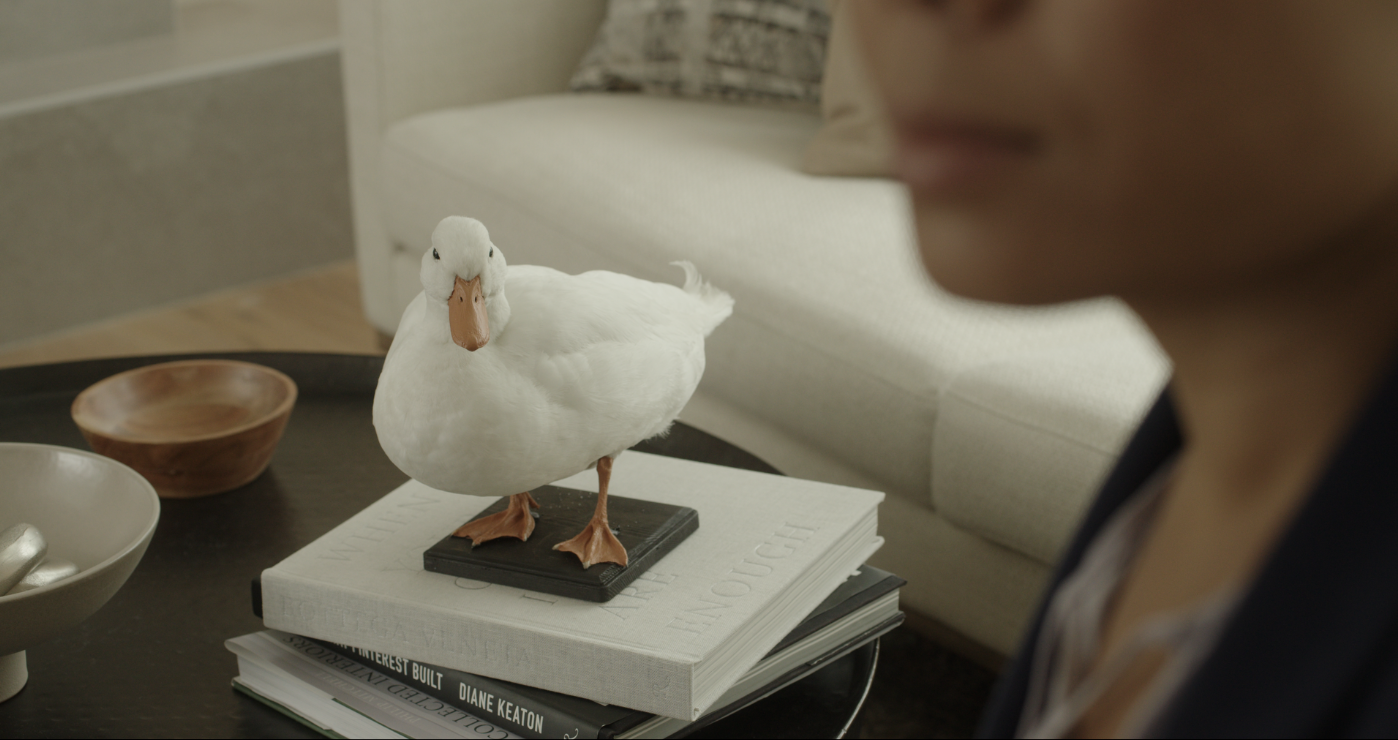 Screenshot 2023-08-18 at 8.21.23 PM.png