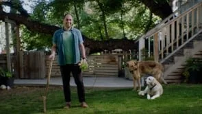 AU ARTS // The Professional Artist