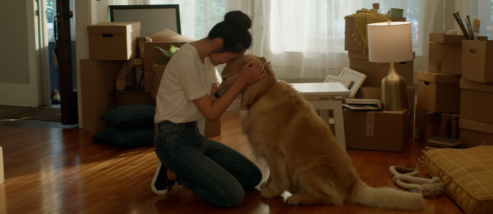 Screenshot 2026-03-17 at 12.16.16 PM.png