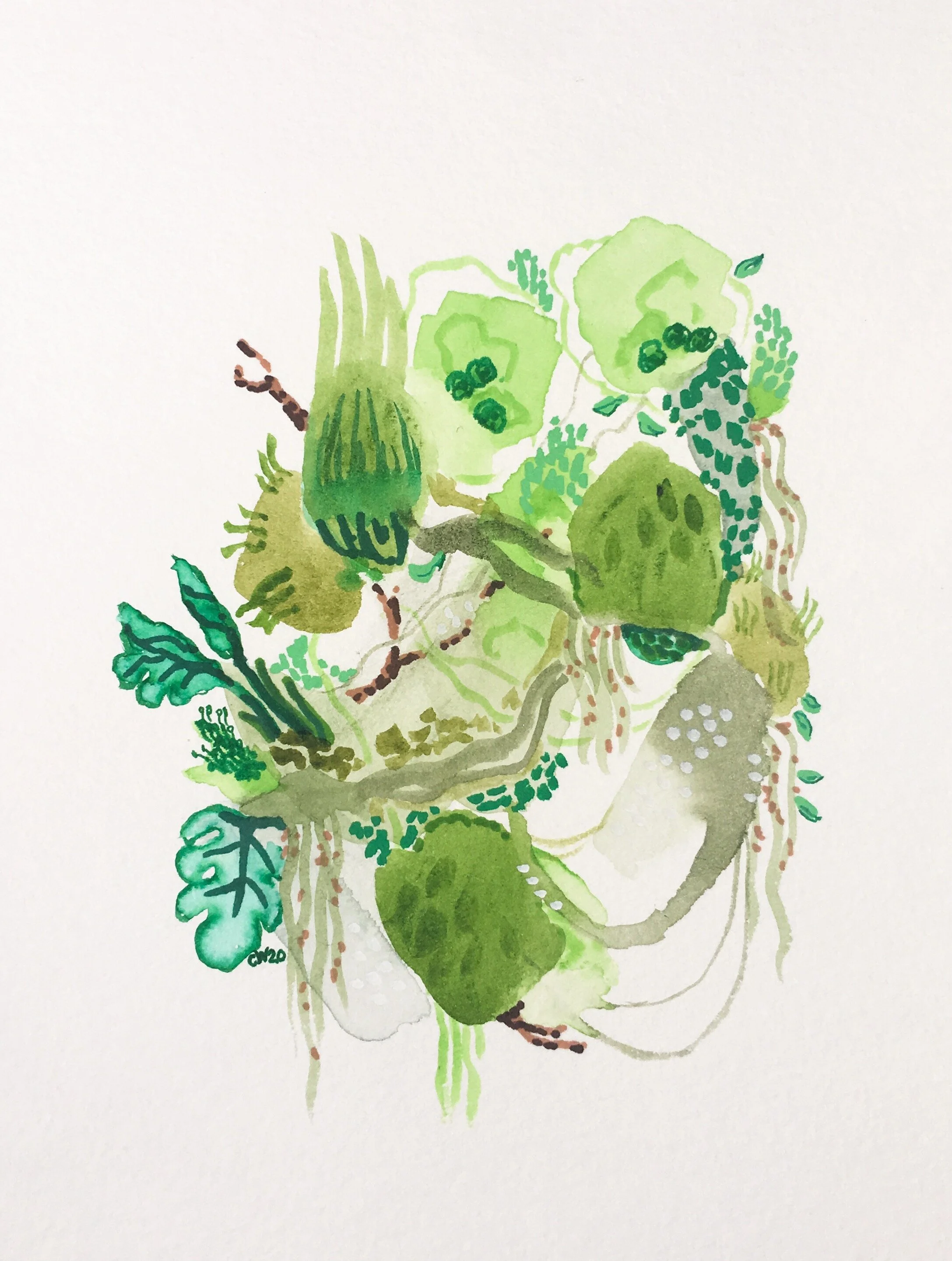 "Pods of Willowgreen" 28/100