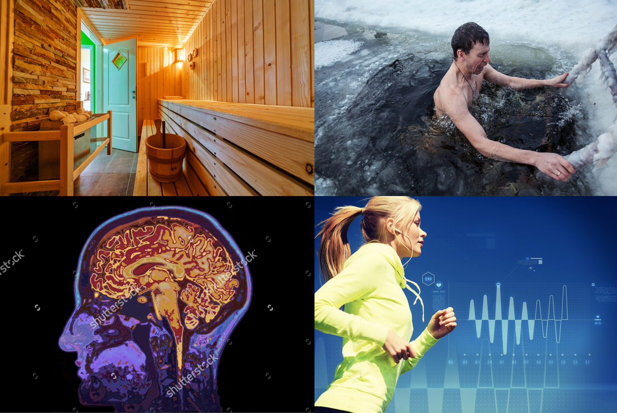 Helsinki 2016 Biohacking Conference - Blog Series