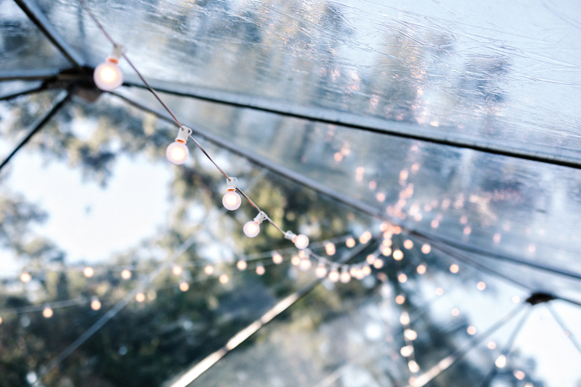 Gulfport_Wedding_Photographer_1296.jpg