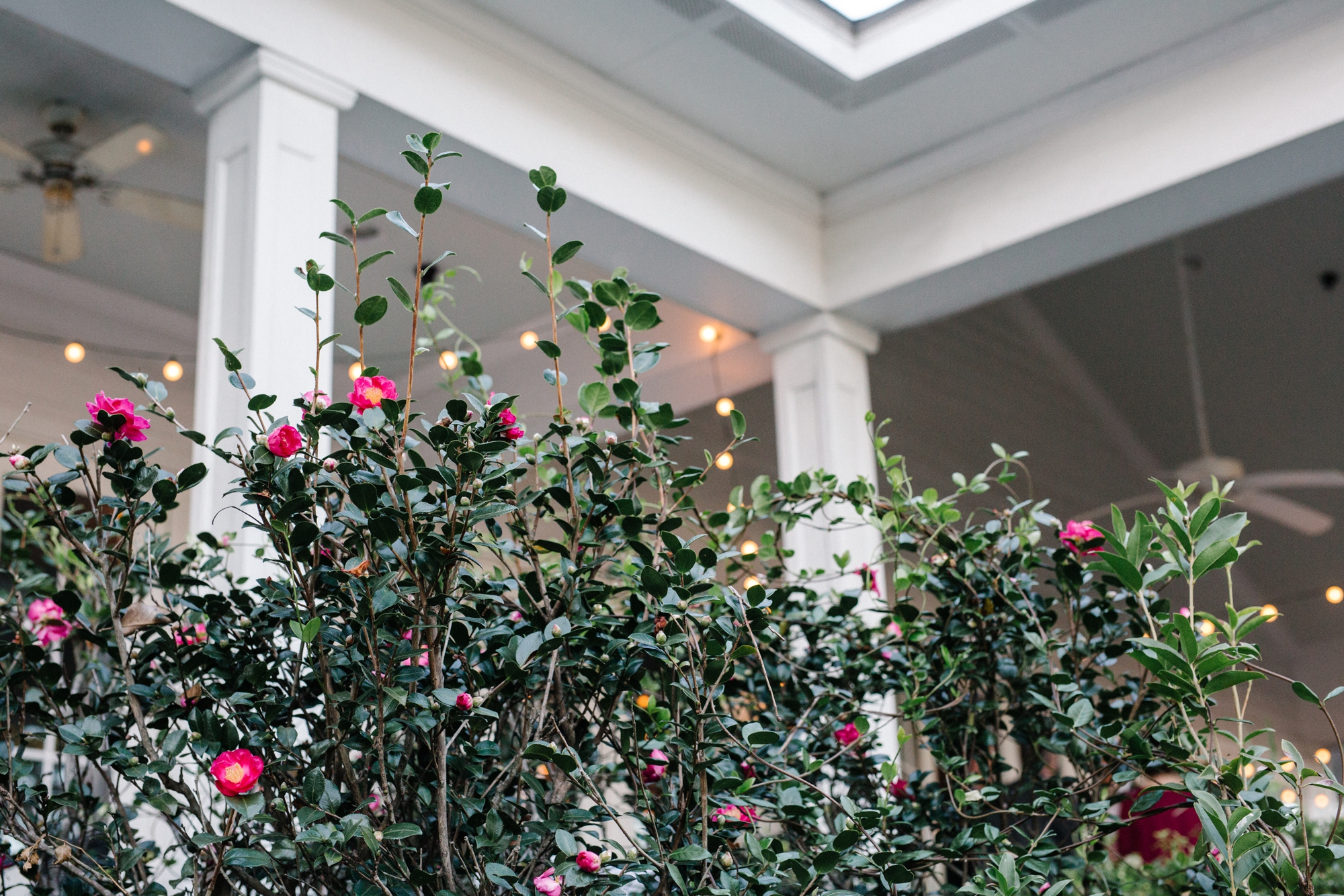 Gulfport_Wedding_Photographer_1301.jpg