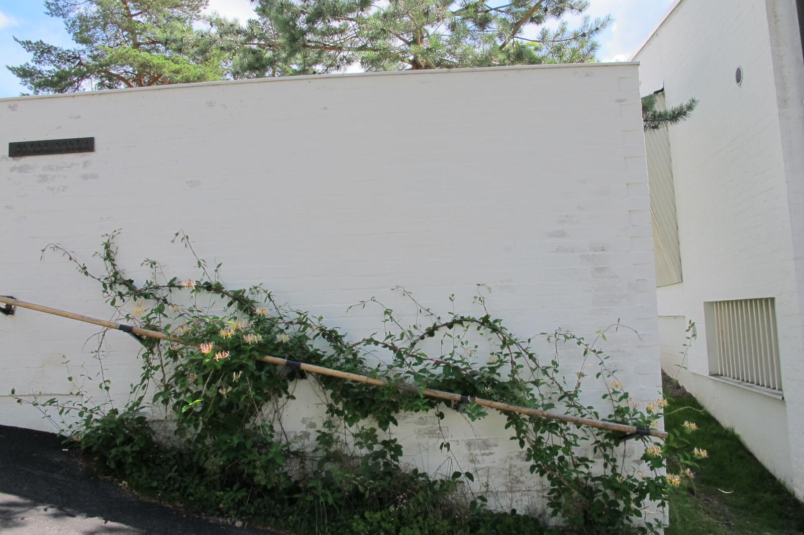 Entry rail covered in flowers / Studio Aalto / 11 July 2015