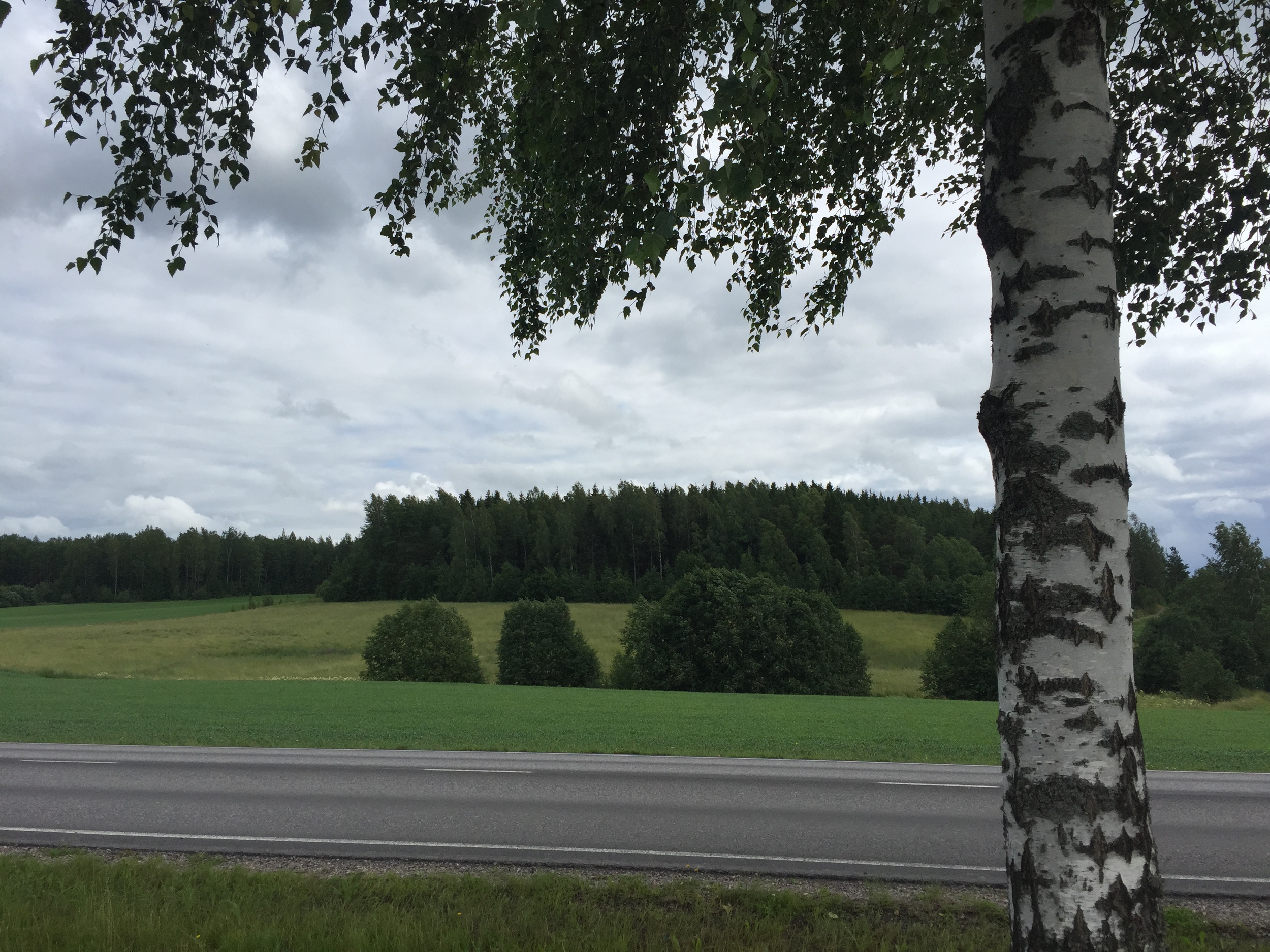 Random roadside en route / 19 July