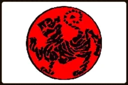 <H3>J.K.A. Shotokan Alliance</H3>