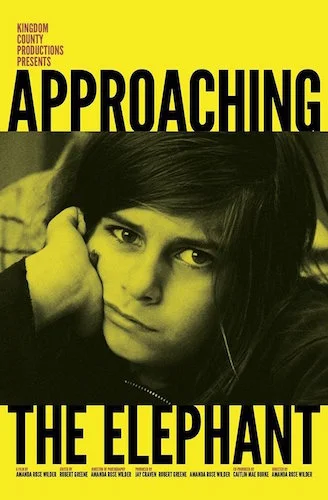 Approaching the Elephant