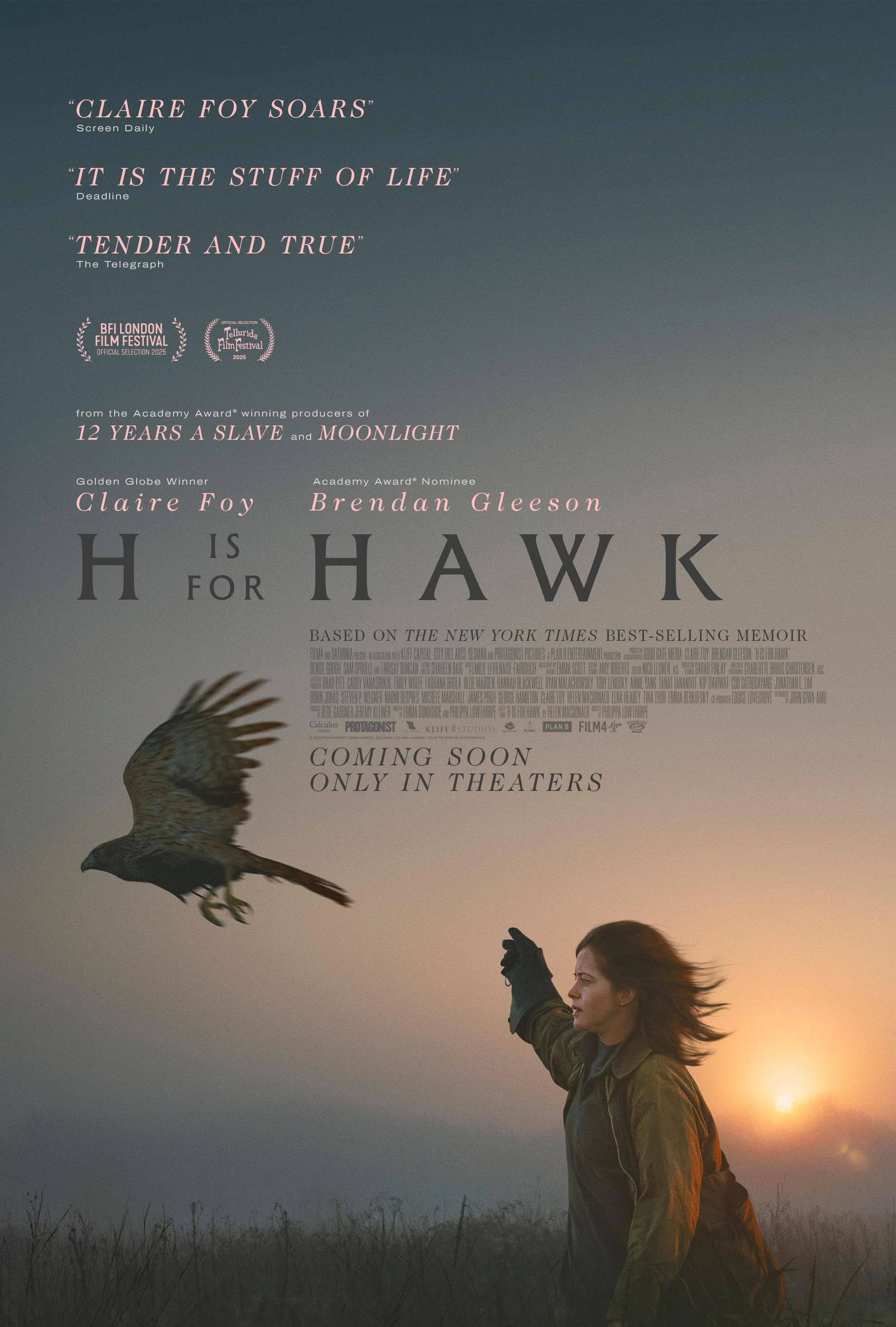 H is for Hawk poster.jpg
