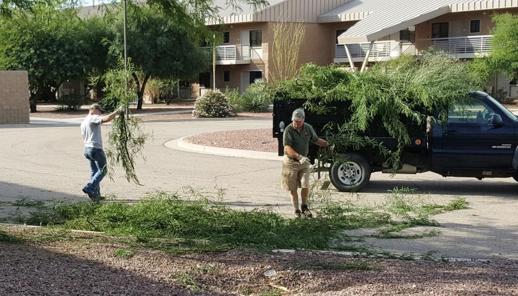 Cleanup at Davis-Monthan1.jpg