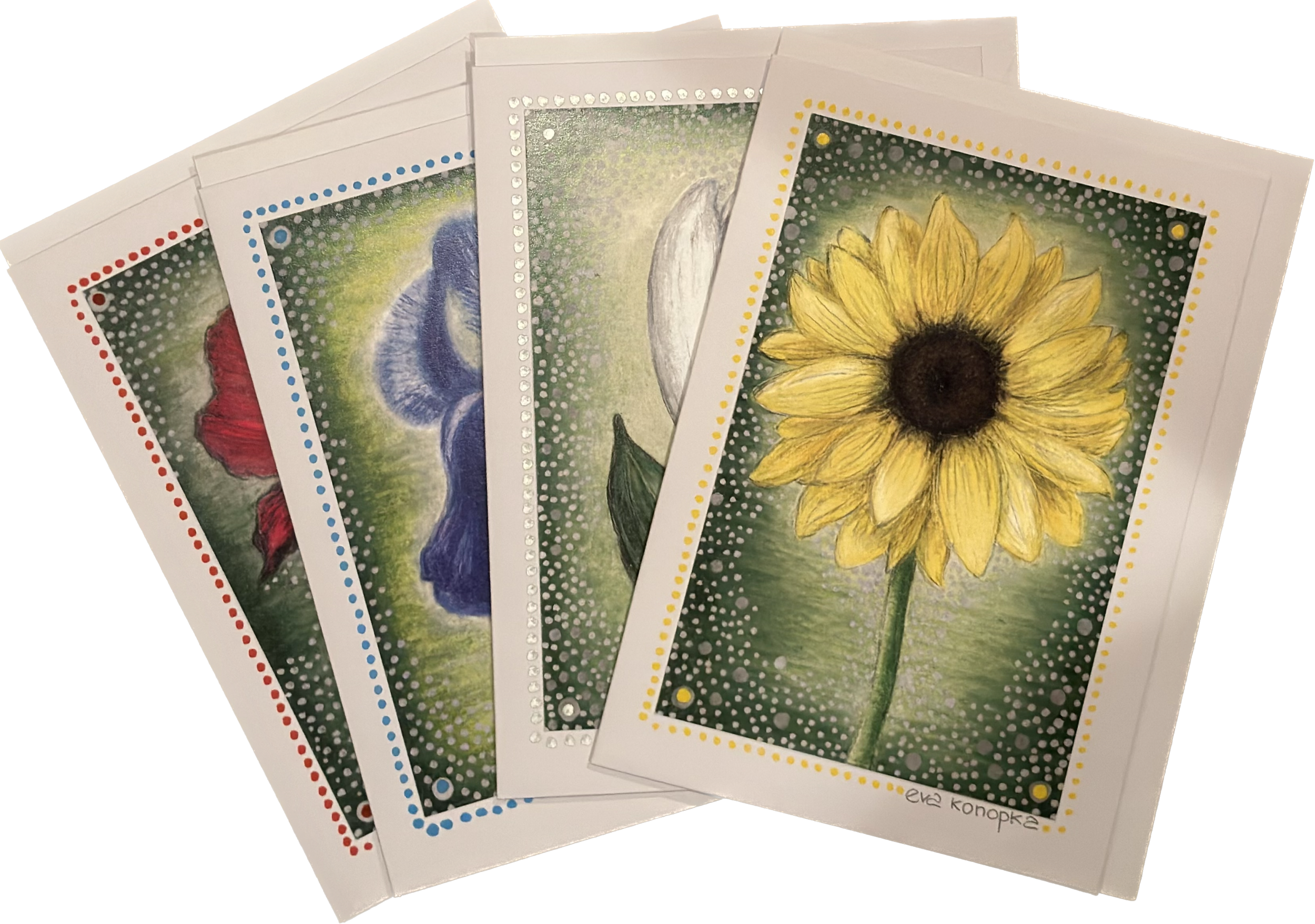 C8905C1D-43D9-4AF9-AE6F-84D43467B587