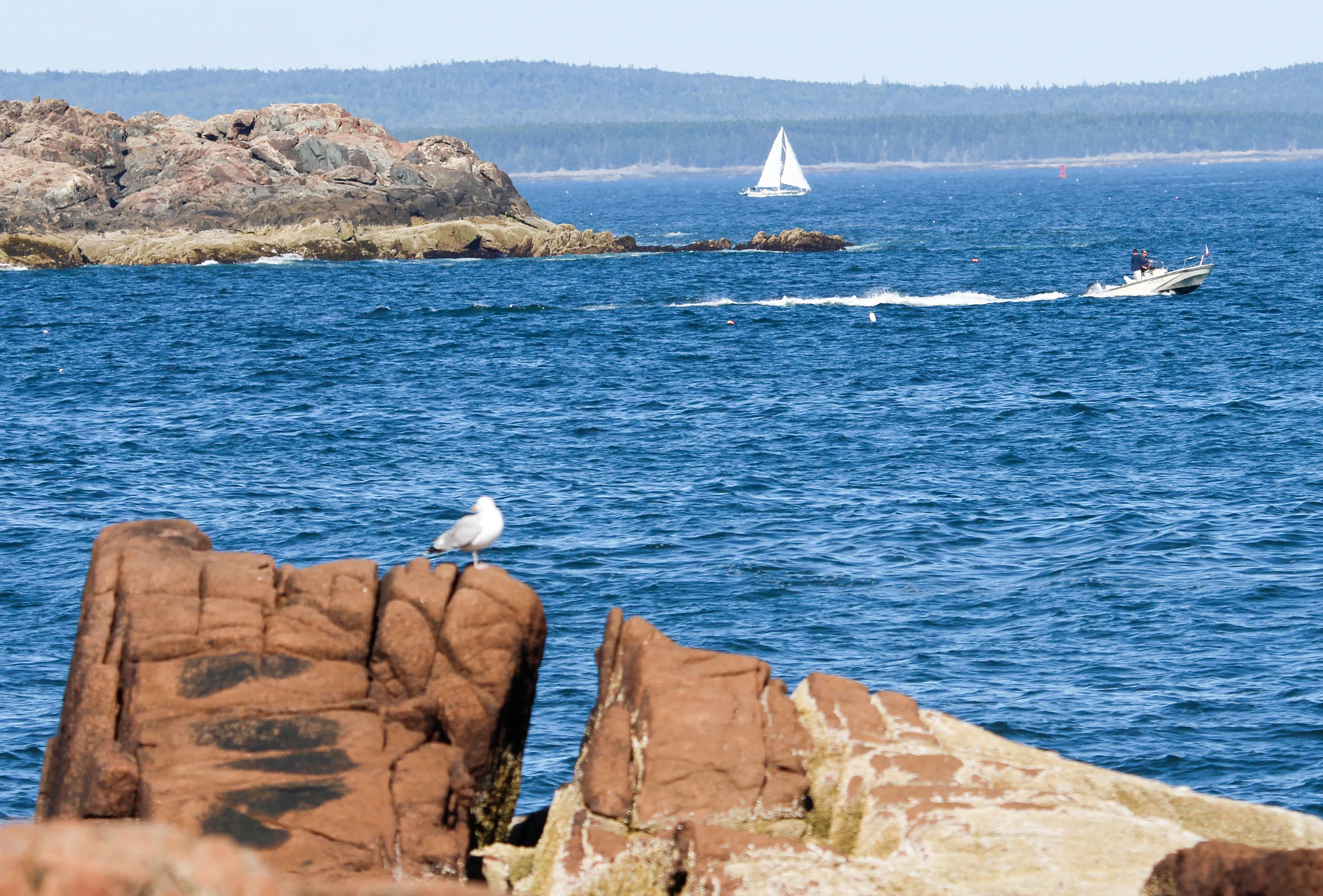 These are the views from the path out to the deep blue sea.