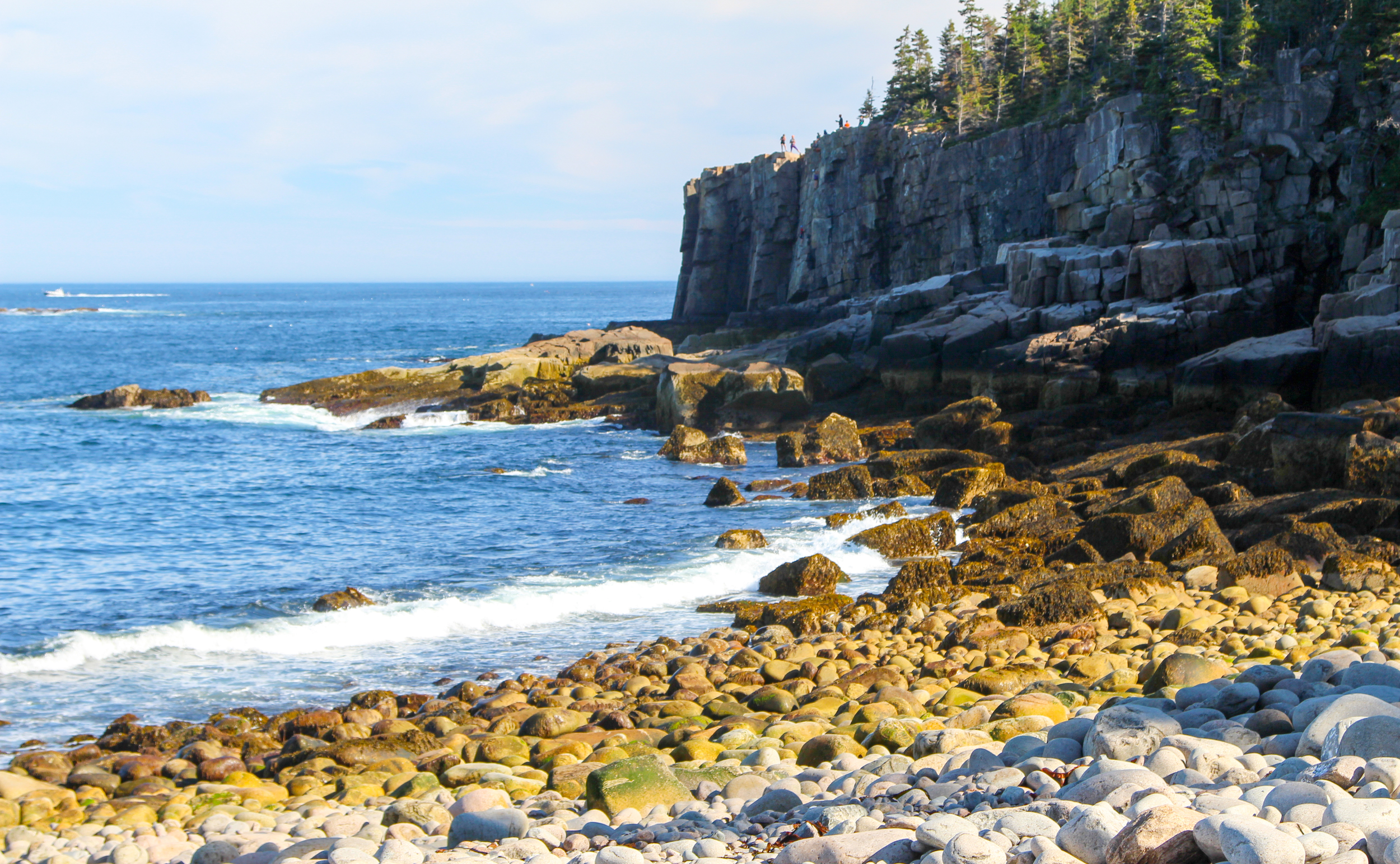 And our final destination was the tip of those cliffs! We went right out and I sat close enough to see over so I could look for rock climbers who sometimes scale the cliff.