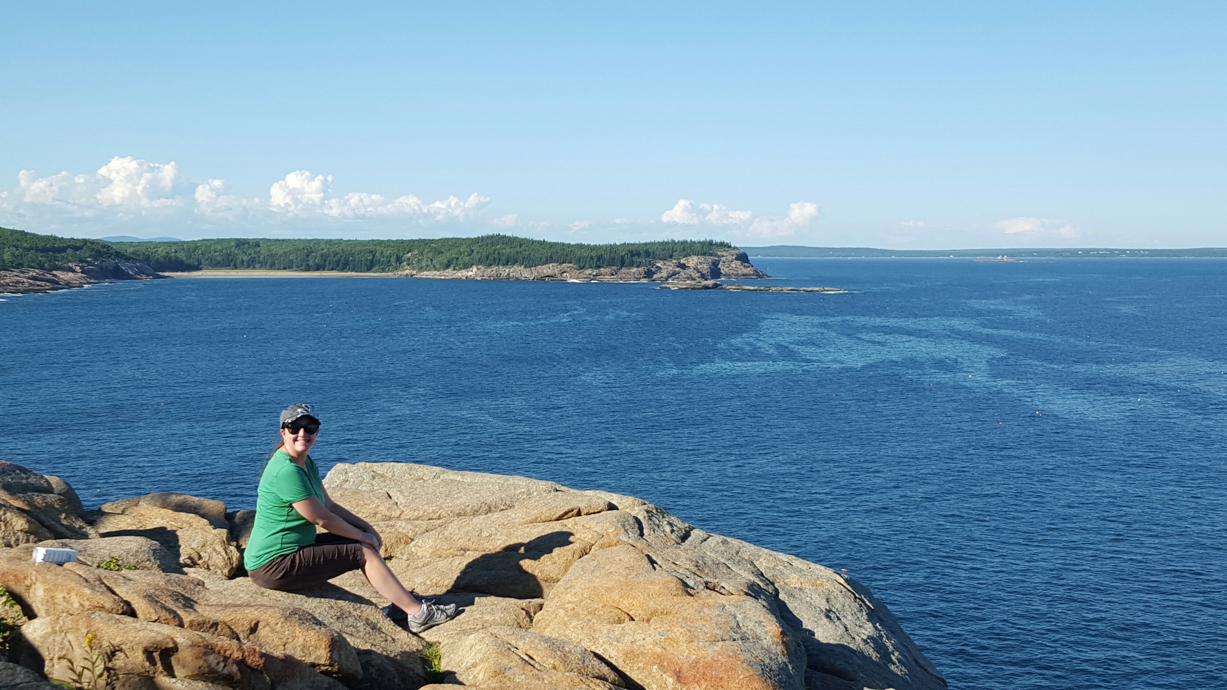 Here is the rewarding view from atop Otter Cliff!