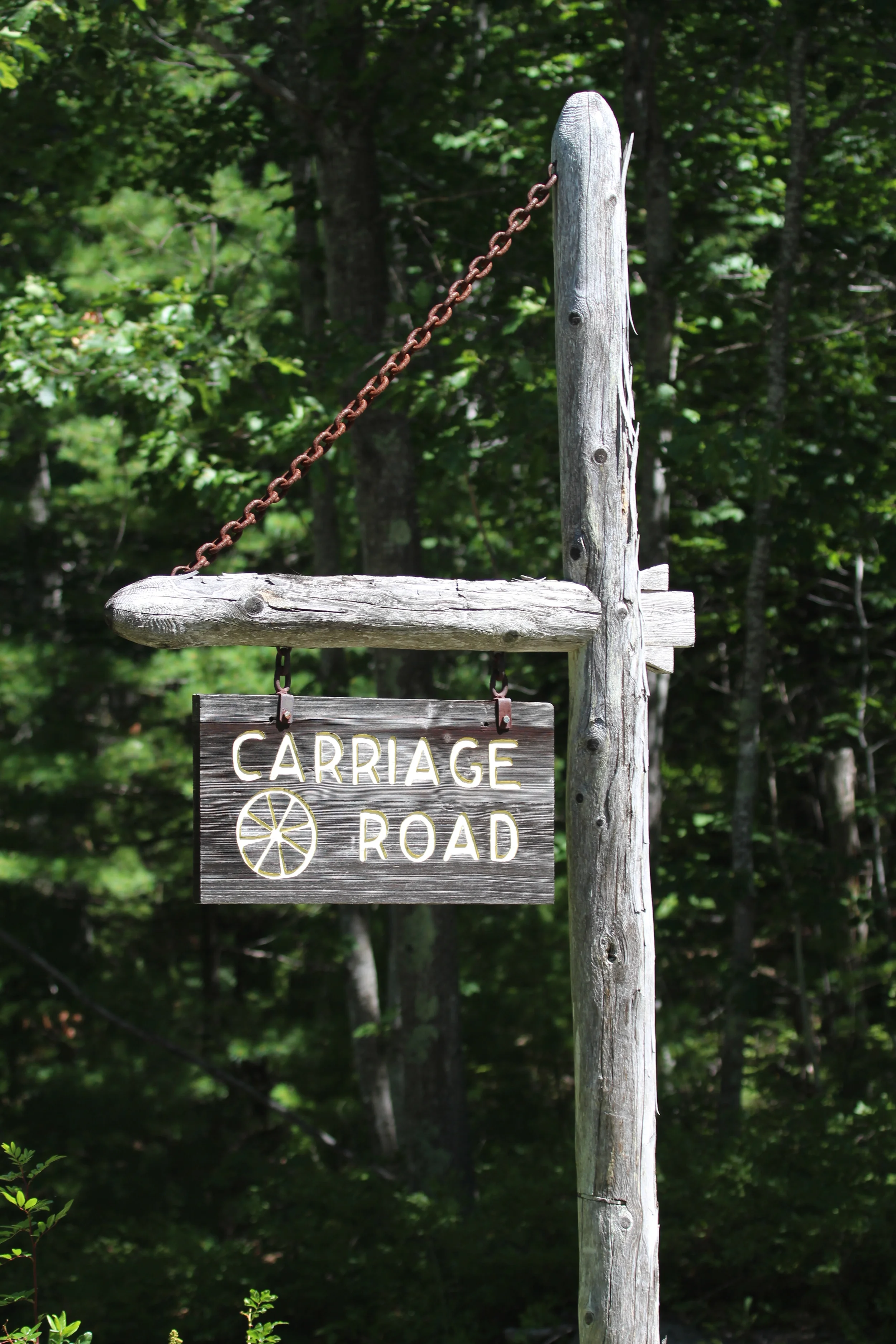 Even with so, so many visitors to Bar Harbor and the park in August, there was peace during our walk along one of the carriage roads to Eagle Lake.