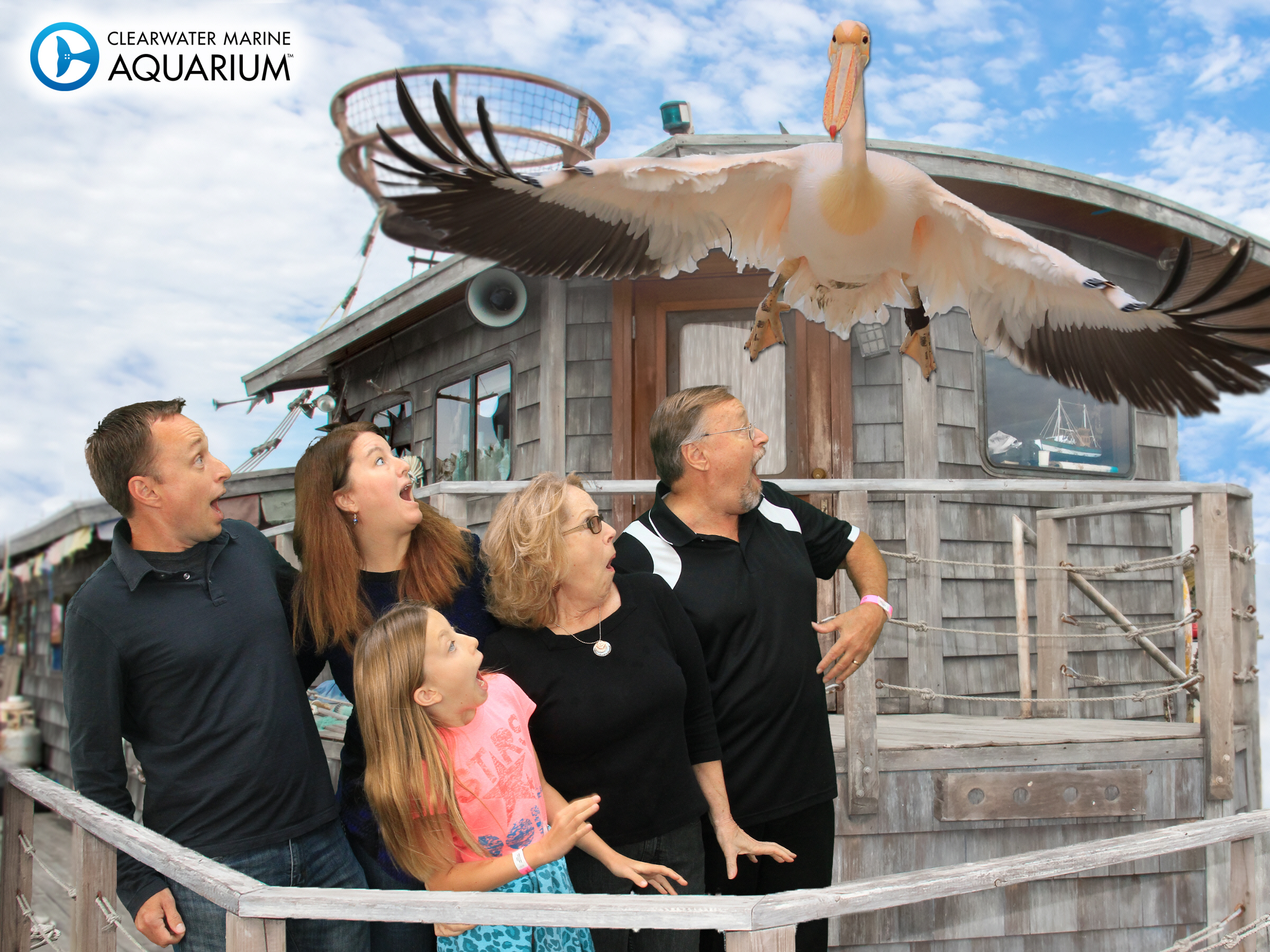 This crazy pelican is a character in the movie.