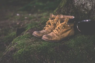 pexels-photo-167706.jpeg