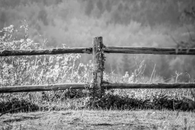 pexels-photo-235808 (1).jpeg