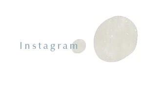 instagram.jpg