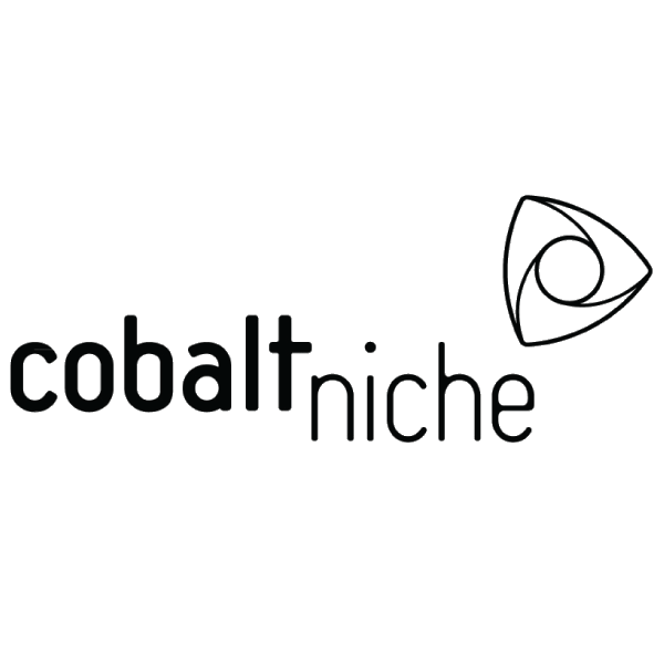 CobaltNiche logo