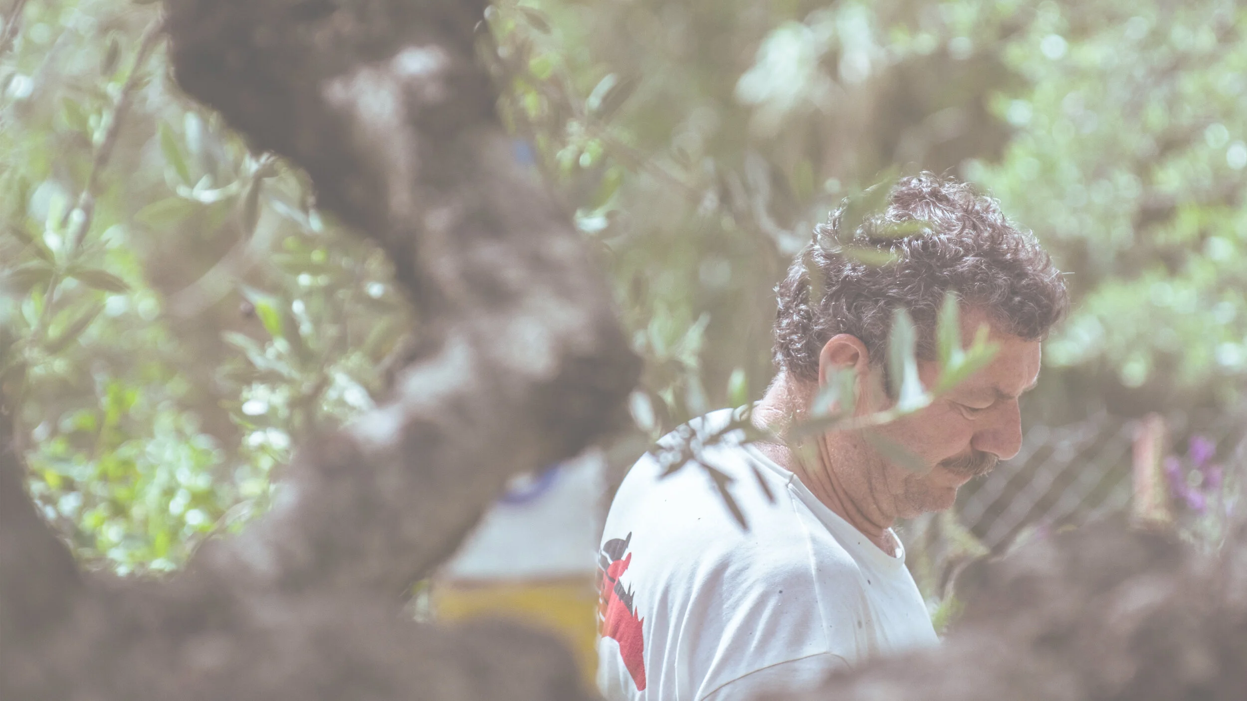 bdo_header-hero_002b.jpg