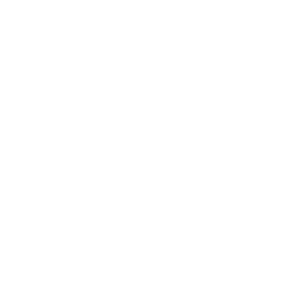 dell.png