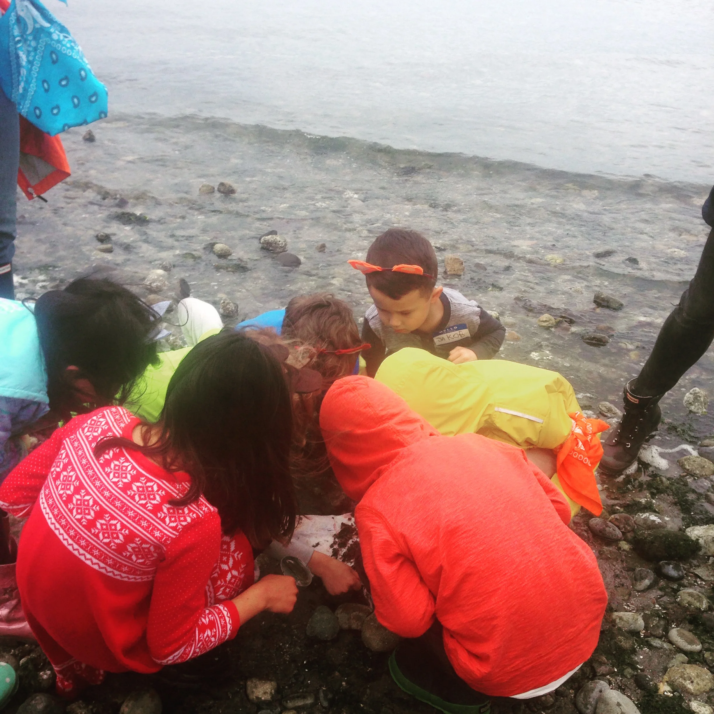 Adventure Club at Carkeek Park