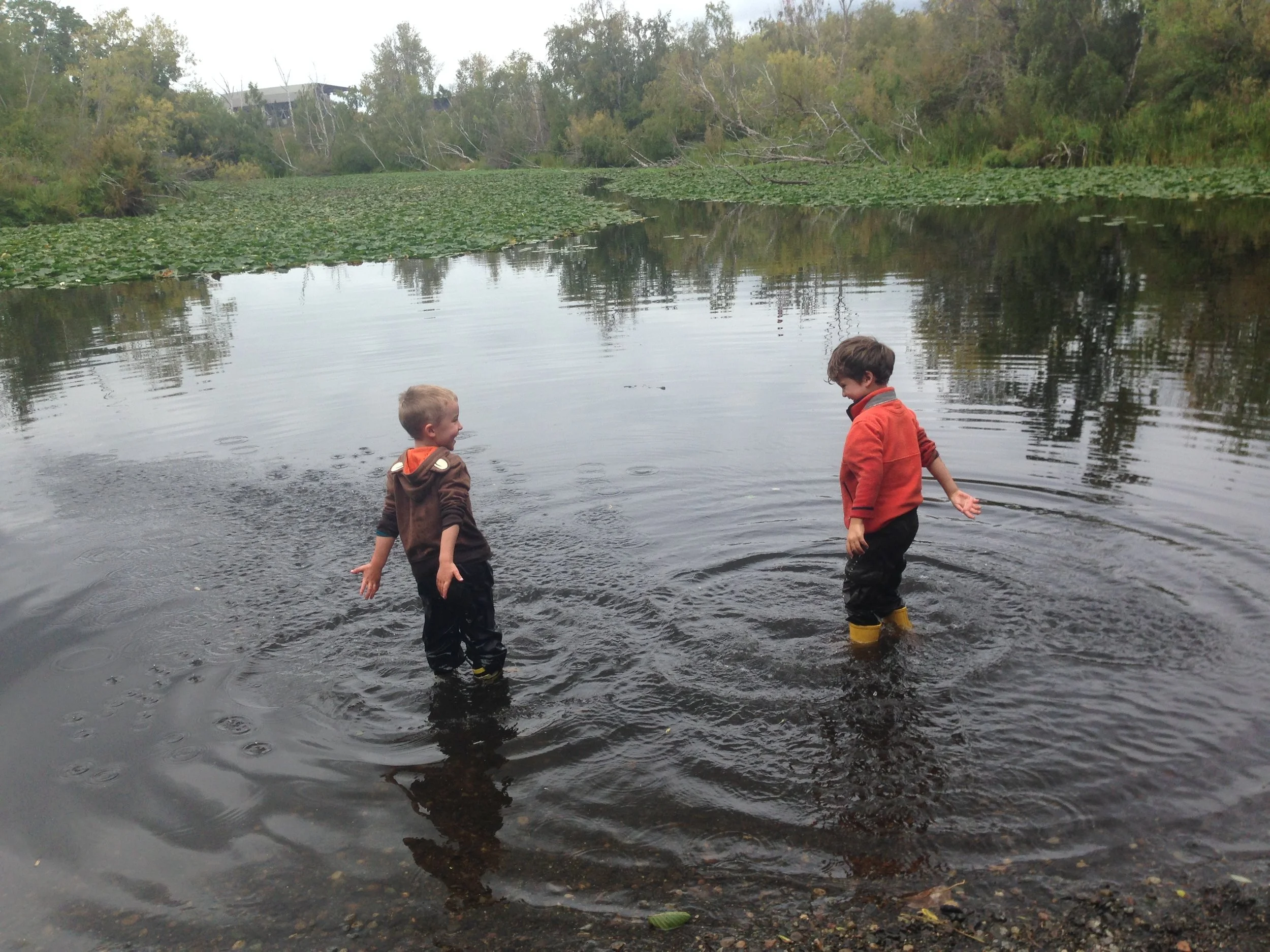 Carkeek Park: From Trail to Tide Pool