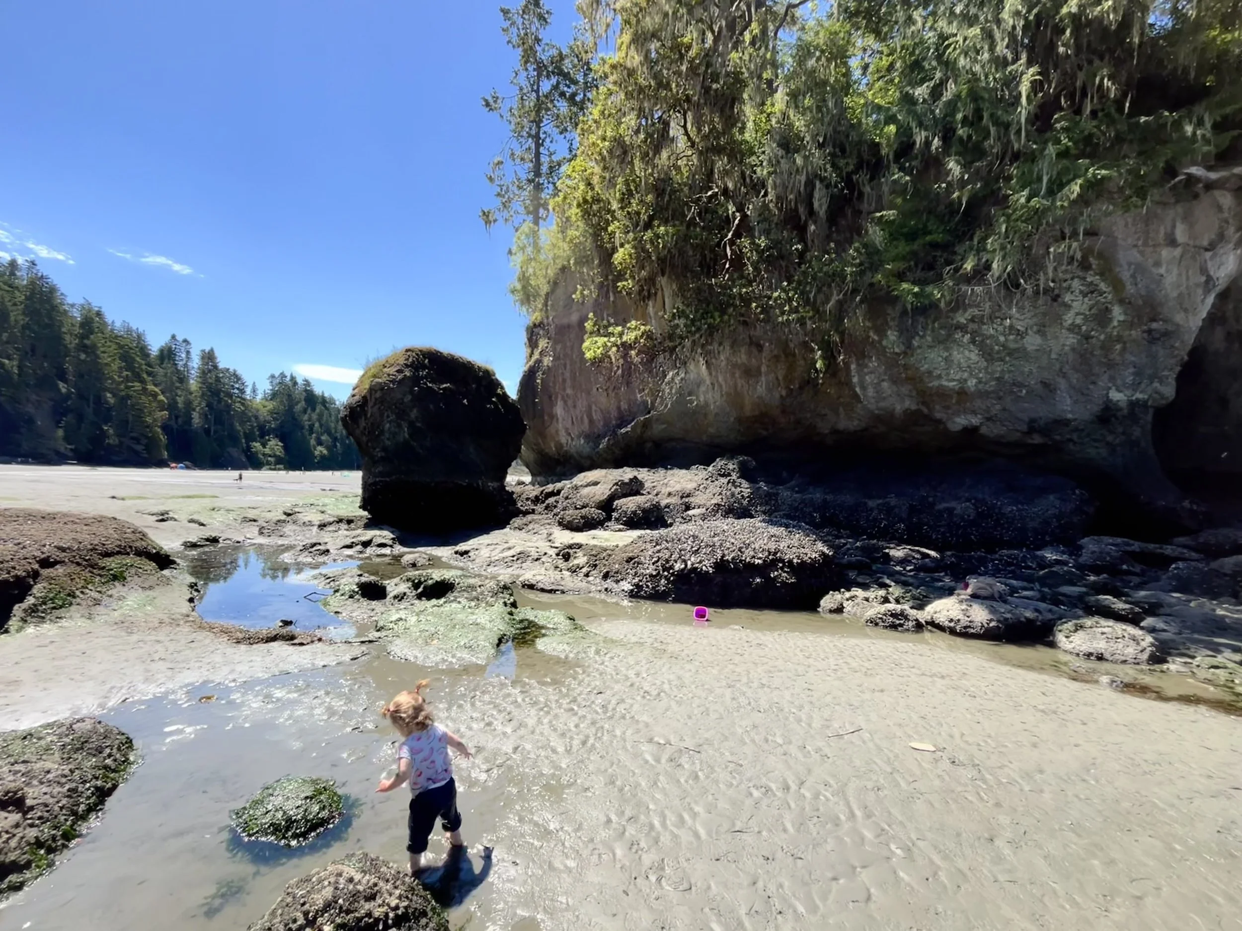 Back in Action on the Olympic Peninsula: A Joyful Return to Leading Programs