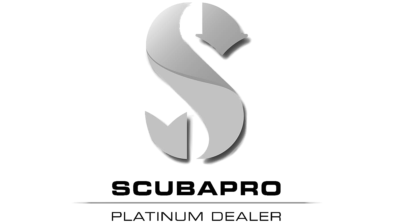 PlatinumDealerLogo-png.png