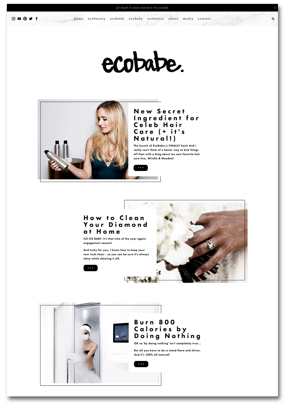 Website Showcase Pages ecobabe..png