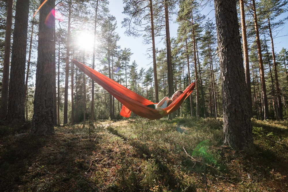 hammock-49.jpg