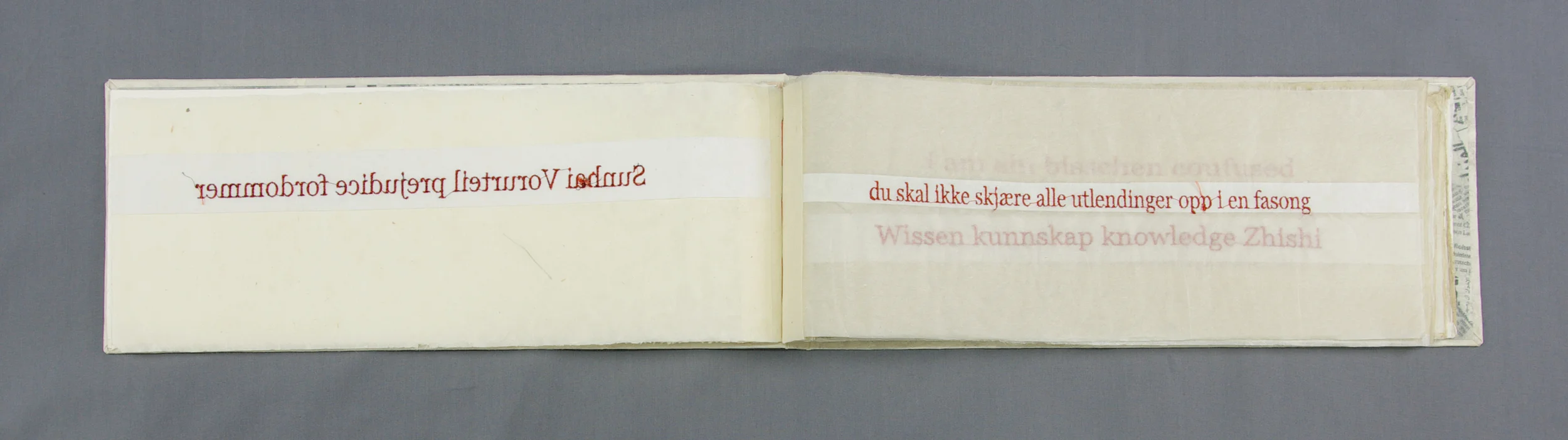 spraakliginterferens2.jpg