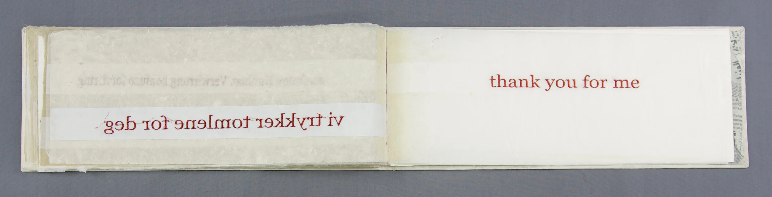 spraakliginterferens17.jpg