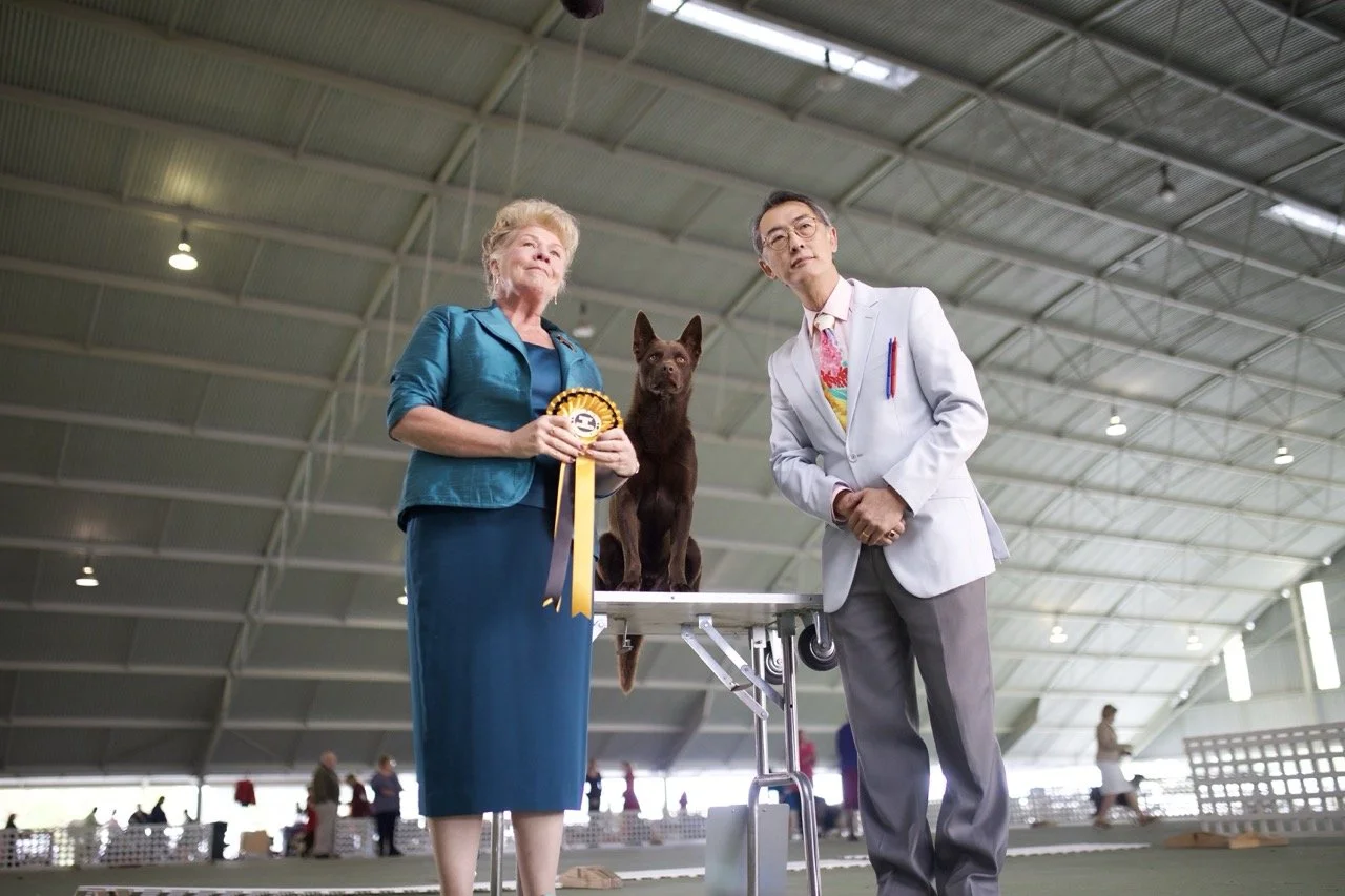 An elderly woman and a man in a white coat pose with a dark brown dog on a grooming table inside a large indoor arena. The woman holds a yellow ribbon award dog show koko a red dog story actor Sarah Woods carol hobday dog show
