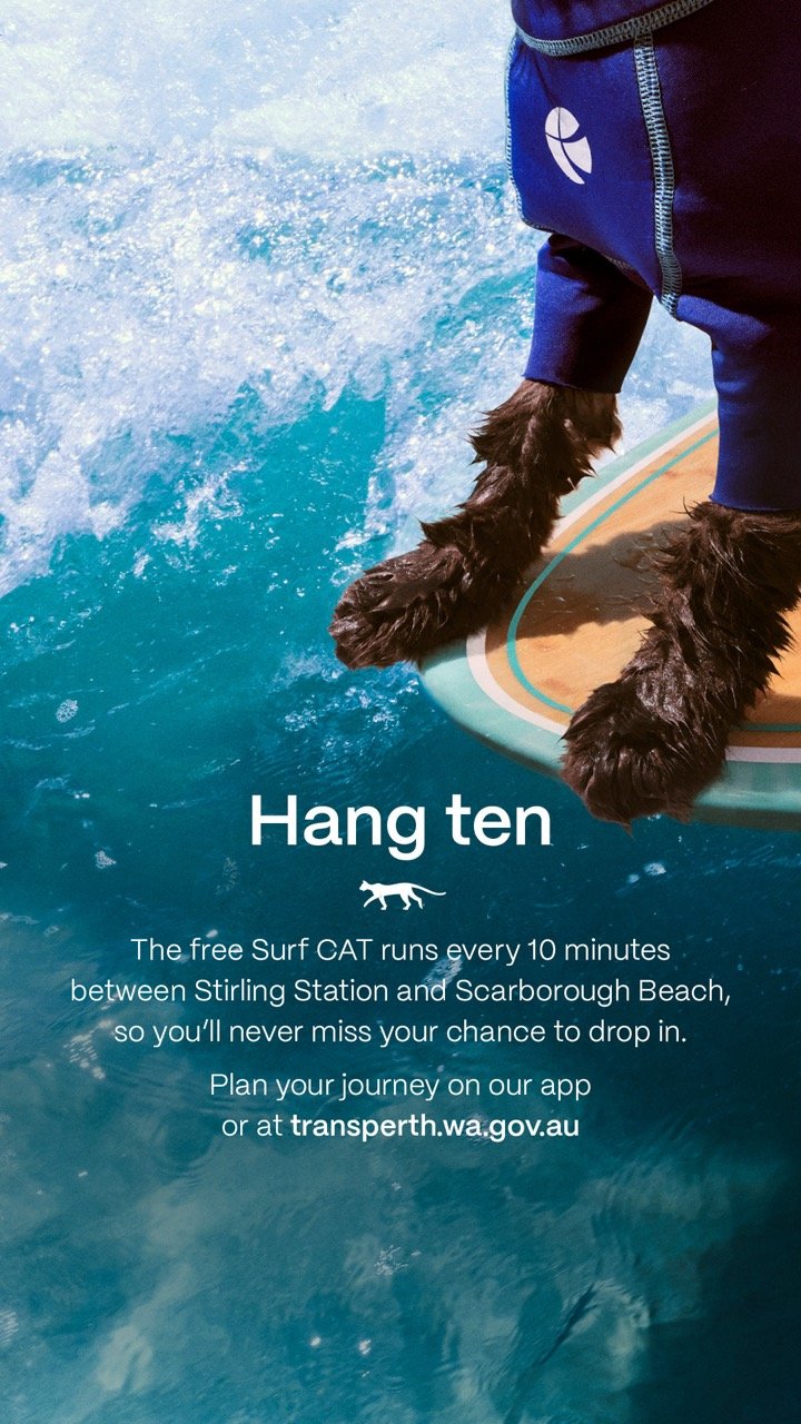 A dog with furry paws surfing on a surfboard in the ocean, wearing a blue wetsuit. Text on the image promotes the free Surf CAT service running every 10 minutes between Stirling Station and Scarborough Beach in Western Australia surfcat transerth nic