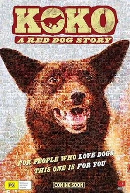 A poster for a story titled 'Koko: A Red Dog Story' featuring an image of a brown dog with one eye closed, smiling. The poster includes text indicating it is for dog lovers and says 'Coming soon' at the bottom.
