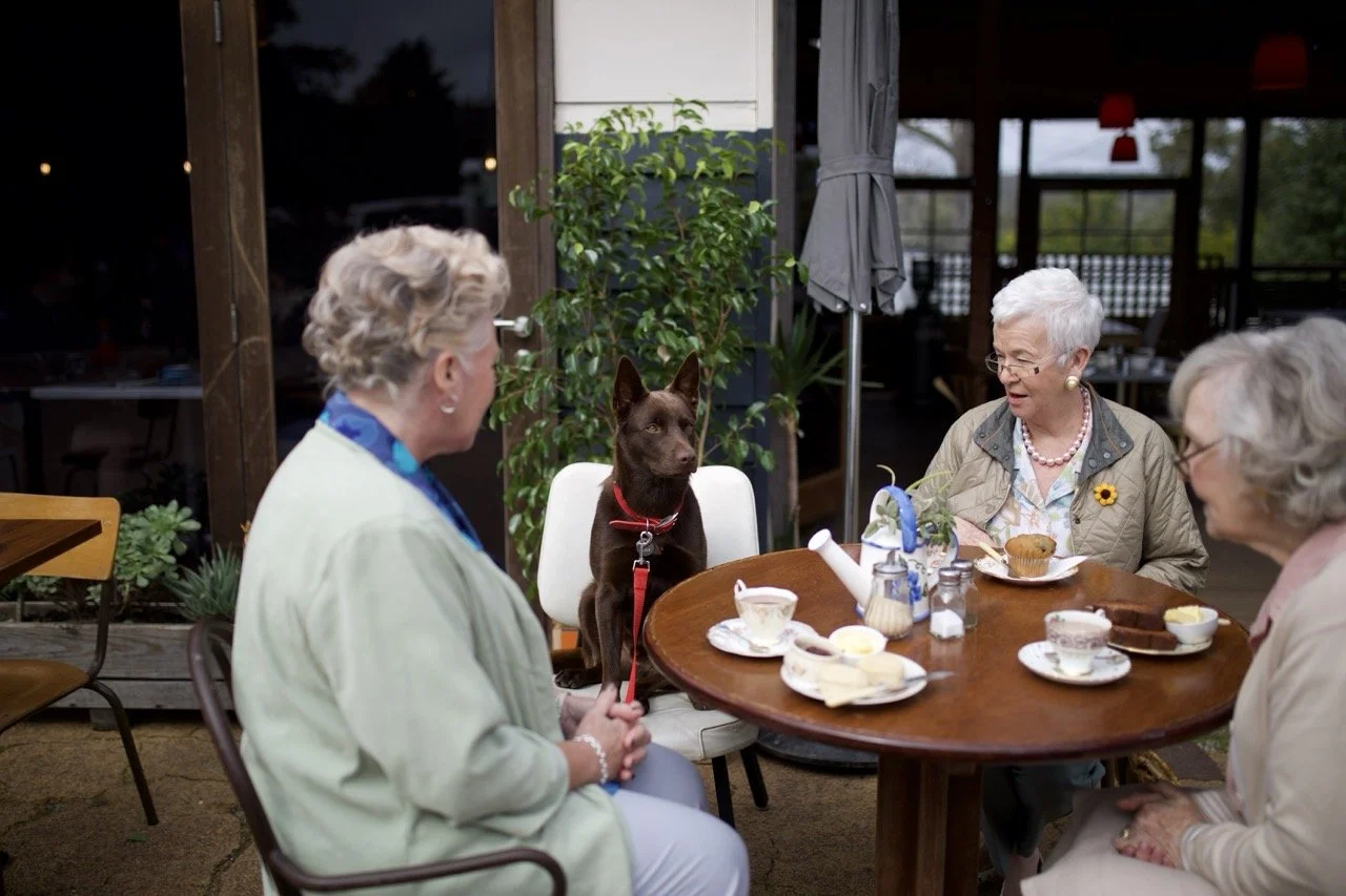 Three elderly women sit around with carol owner of red dog in koko a red dog story australian feature documentary