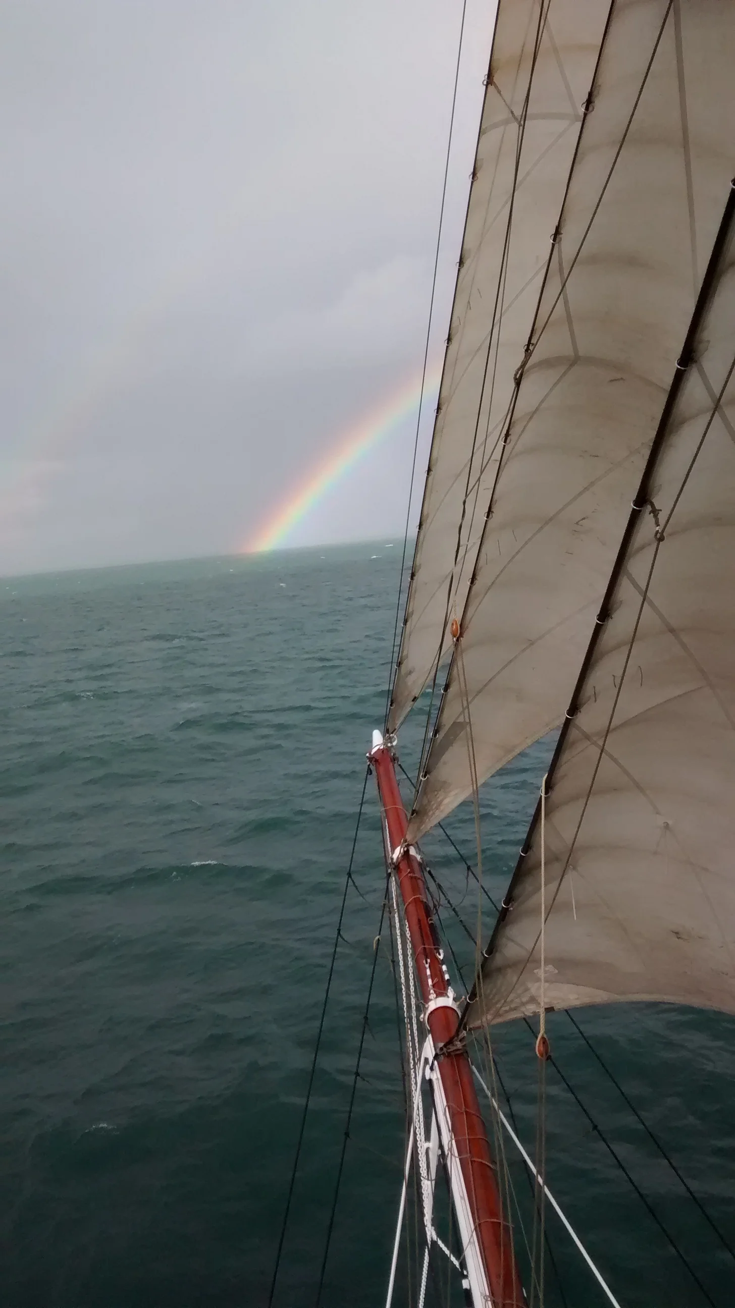 Donate to support Safe Haven Voyages!