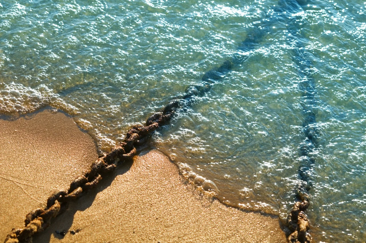 TASCe Trade & Supply Chain Europe-3.jpg