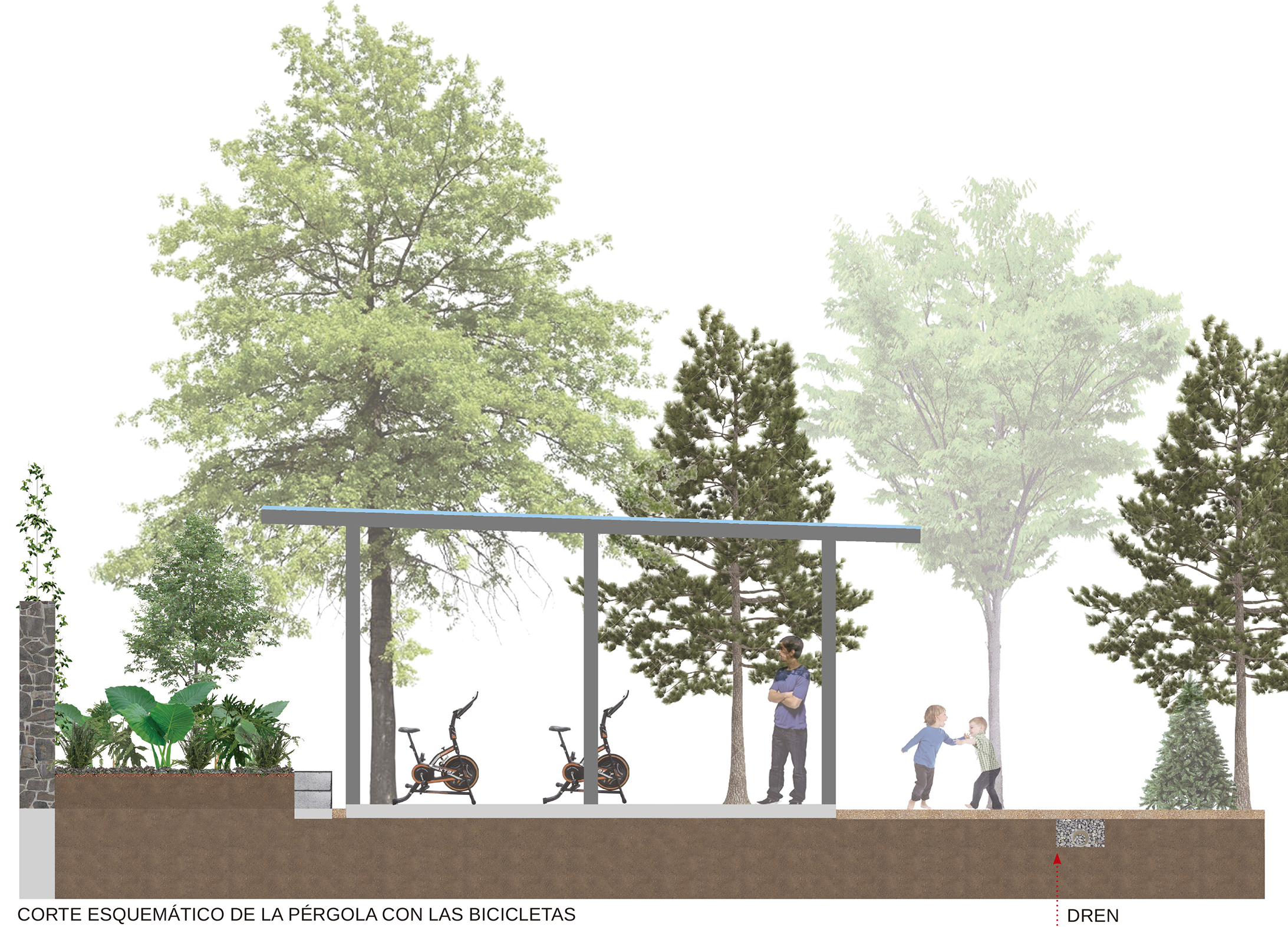 pergola.png