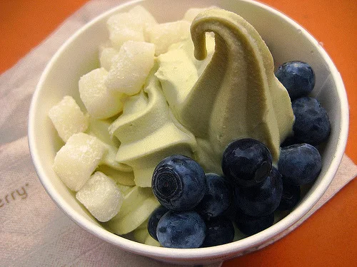 tweexcore:

annierosse:

365tweexcore:
also: green tea froyo with mochi and blueberries is simply the best thing in the world.
possibly the yummiest

I haven’t had it in far, far too long.