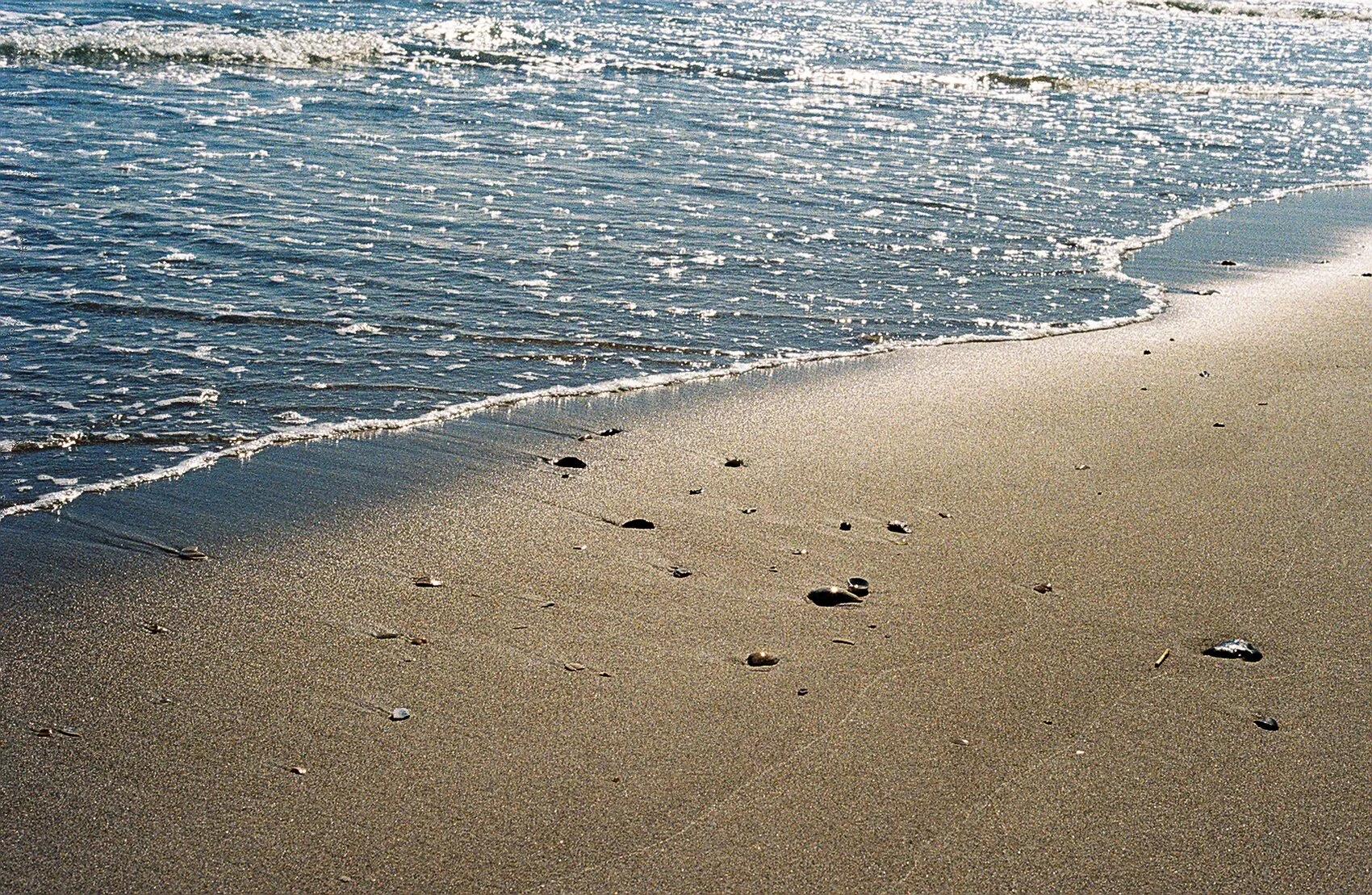 27028C3-R01-012.Jpg