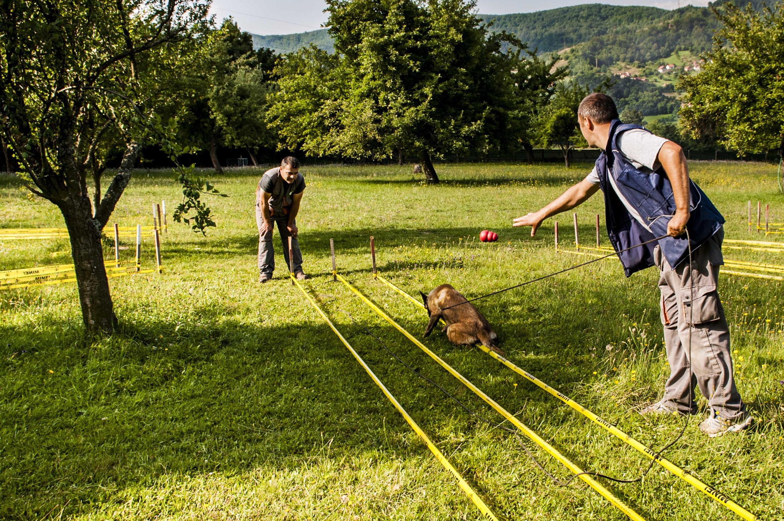 Mine Detecting (Copy)